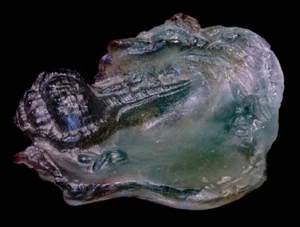 Daum Nancy France Pate De Verre Cameo Glass Shell - Picture 1 of 2