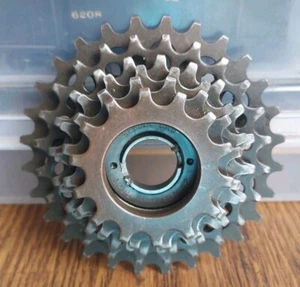Regina Oro 14-28 6 Speed Freewheel Touring bike Vintage - Italy - Picture 1 of 4