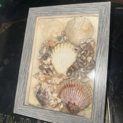 Sea Shell Artwork Natural Beauty Beach Decor Wall Hanging Home Decor Wall Art - Image 1 of 4