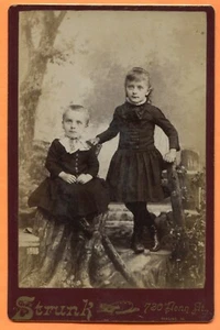 Reading, PA, Portrait of 2 Children, by Strunk, circa 1890 Backstamp - Picture 1 of 3