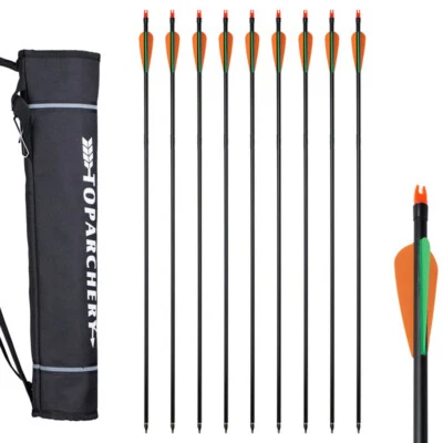 12x Fiberglass Arrows+Archery Back/Belt Quiver Arrow Holder Compound Recurve Bow - Image 1 of 4