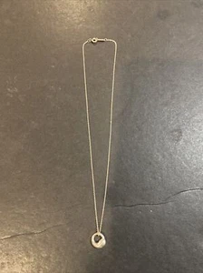 Tiffany & Co. Sterling Silver Elsa Peretti Small Eternal Circle Necklace - Picture 1 of 6
