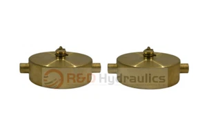 Fire Hydrant Adapter | Cap With Chain | 1-1/2" | Female NST/NH | Brass | 2 PK  - Picture 1 of 2