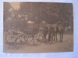 Antique 10" x 14" Photograph of Horse & Carriage with Driver - Picture 1 of 9
