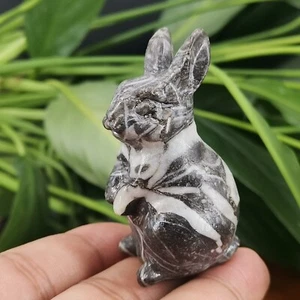 1pcs Natural Fossil Rabbit skull Quartz Crystal carved reiki healing gift 2 "+ - Imagen 1 de 14