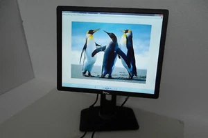 Dell P1913S LED Monitor 19" VGA DVI DP w/2-Port USB P1913Sb P1913Sf 39WWP NWXT6 - Picture 1 of 12