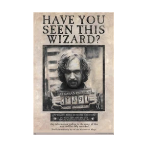 HARRY POTTER - WANTED SIRIUS BLACK POSTER - 22x34 - 16744 - Bild 1 von 1