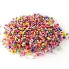 Multi Color Dried Flowers DIY Art Craft Resin Jewelry Soap Candle Making