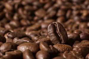 Caffè tostato fresco gourmet, (2) sacchetti da 12 oz in grani interi, caffè semplicemente ottimo - Foto 1 di 1