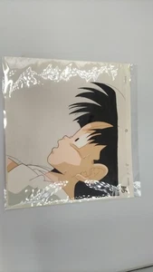 Cel Animation Modell Dragon Ball Son Gohan unbekannt - Bild 1 von 2