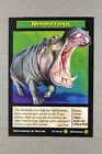 Weird N’ Wild Creatures Nightmares of Nature Card # Hippopotamus # 2004
