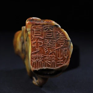 Exquisite Collection Shoushan Stone Carving, Amazing Cicada Seal Ornament - Picture 1 of 9