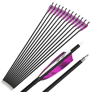 30" Carbon Arrows SP500 4" Natural Feather Screw Points Bow Hunt Archery Shoot - Picture 1 of 15