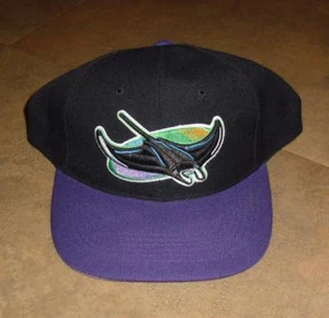 Tampa Bay Devil Rays hat VINTAGE snapback 90s cap RaRe DS MINT New vtg nwot RaRe - Picture 1 of 1