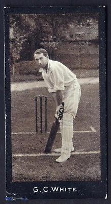 SMITH - CRICKETERS (1-50) - #37 G C WHITE - Image 1 of 2