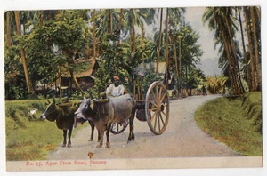 PENANG MALESIA AYER ETAM ROAD VECCHIA CARTOLINA POSTALE 1924 POST CARD ANIMATA - Foto 1 di 2