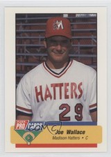 1994 Fleer ProCards Minor League Joe Wallace #136