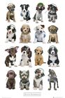 Keith Kimberlin Puppies Headphones Poster 