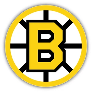 "Calcomanía pegatina con logotipo de hockey para automóvil Boston Bruins NHL ""TAMAÑOS" - Imagen 1 de 1