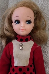 TAMMY CLONE Muñeca Vintage con Conjunto de Vestido ARCO IRIS NANA CHAN Shiba Seisakusho D - Imagen 1 de 5