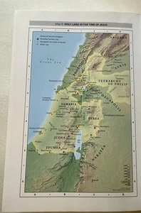 Concordia Self Study Holy Bible New International Version NIV 1984 Red Letter - Foto 1 di 24