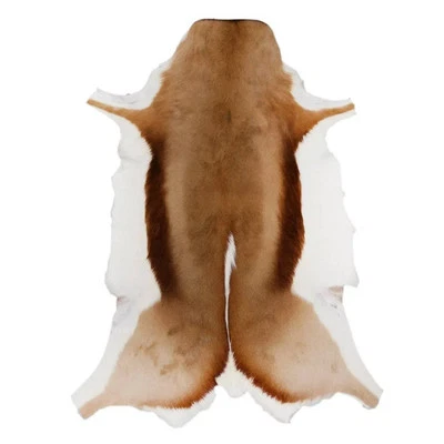 Springbok / Small Antelope Skin Rug. Full Authentic hide. Leather Throws African - Image 1 of 4