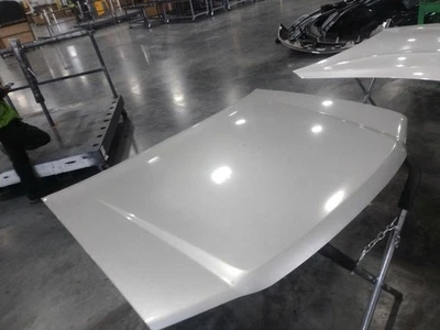 Hood Fits 04-12 CANYON 566716 - Image 1 of 4