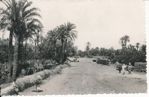 MARRAKECH c. 1950 - 15 Photos de la Ville Maroc  - MT 205 - Picture 1 of 17