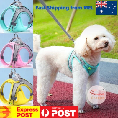 Small Dog Harness Front Range Adjustable Outdoor Puppy Pet Vest Mesh Cat Leash - image 1 of 4