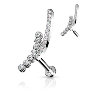 2 Lined CZ Curve Internal Threaded Flat Back Lip Tragus Cartilage Piercing 16G - Picture 1 of 9