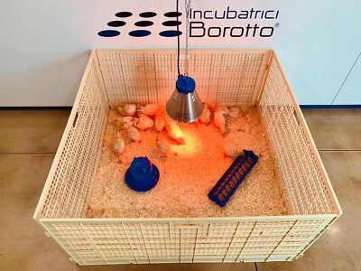 RECINTO PER PULCINI LAMPADA INFRAROSSO - IL DOPO INCUBATRICE – IDEA RISPARMIO  - Immagine 1 di 4