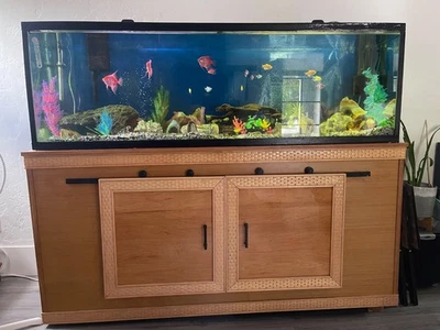 Pecera de cristal de 150 galones con soporte Foto 1 de 2