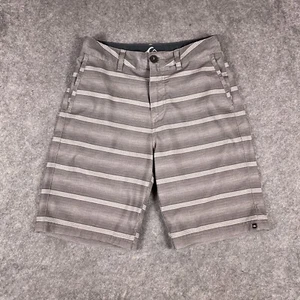 Quiksilver Board Shorts Mens 28 Gray Striped Amphibians Hybrid Swim - Picture 1 of 17