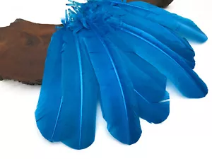 6 Pieces - Turquoise Blue Turkey Rounds Secondary Large Wing Quill Feathers - Picture 1 of 9