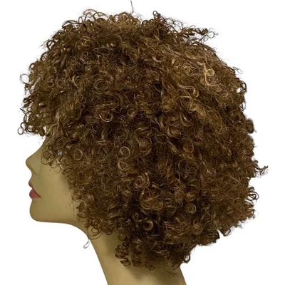 100% Human Hair Wig Kinky Curly Katrina Brown Frost for Women Average Size NWT - Image 1 of 4