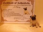 Chien Carlin Miniature Dollhouse 1/12 Ooak Par L'artiste Marina Petlevay