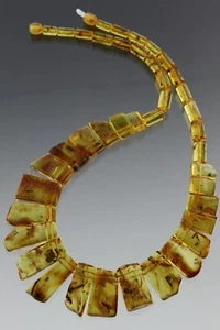 Fossil Insects in All Pieces Genuine BALTIC AMBER Choker Necklace 36.5g 190903-1 - Picture 1 of 5