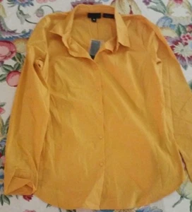 NWT Worthington Stretch Button Up Pastel Long Sleeve Shirt - Picture 1 of 4