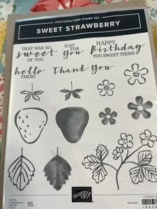 Stampin Up Sweet Strawberry-154394. Strawberry Punch - Picture 1 of 4