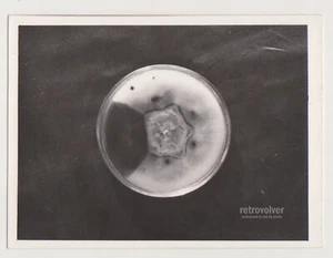 Abstraktes Makro experimentell ungewöhnliche künstlerische Formen in Nahaufnahme Schnappschuss surreal - Bild 1 von 7