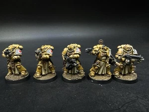 Warhammer 40k Sternguard Lamenters Pro pintado hecho por encargo - Imagen 1 de 2