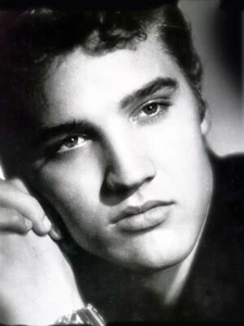 Elvism Presley 1961, Pressekonferenz, Portrait - Bild 1 von 1