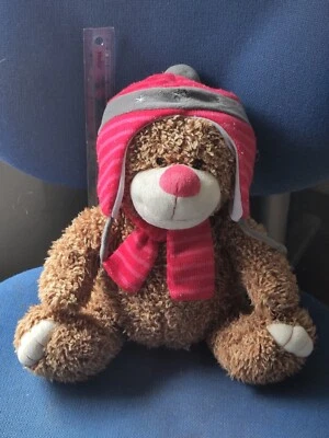 Card Factory Brown Teddy Bear Plush Soft Toy Red Nose Wearing Scarf And Hat Gift - Image 1 of 4