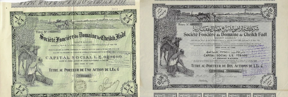 Egipto: Société Fonciere du Domaine de Cheikh Fadl, - África - Alta decoración - Foto 1 de 1