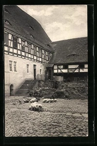 Döbeln, Ansichtskarte, Ortsansicht, Hof mit Schweinen - Picture 1 of 2