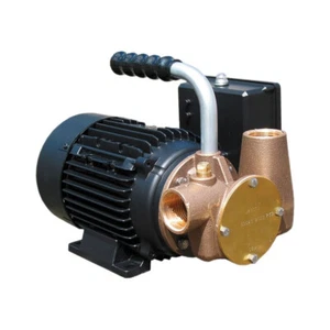 Pompa Girante Flessibile Jabsco P40 110V Nero Acqua WC Trasferimento Rifiuti 33 LPM - Foto 1 di 1