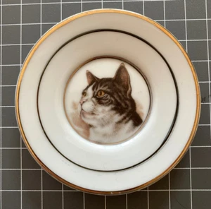 Vintage Miniature Tabby Cat Decorator Plate Porcelain - Picture 1 of 5
