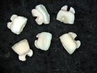 Vertebrate fossil slide mount - Palaeocene Morocco Coupatezia larive shark tooth