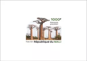 MALI 2024 - DELUXE PROOF - TREASURES OF NATURE - BAOBAB TREE TREES - Picture 1 of 1
