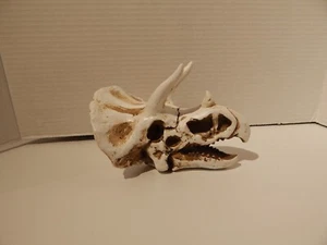 Dinosaur Skull Table decor - Picture 1 of 9